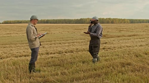 Farmers in Wheat Field Smiling Black Man Speaking By Phone
