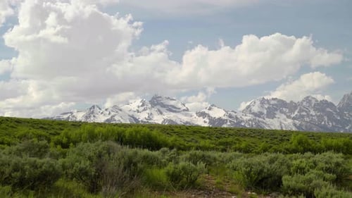 Snowcapped teton mountains rise behind green pasture in scenic Wyoming