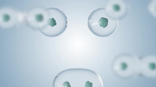 Microscopic Cells Dividing and Multiplying Animation Loop