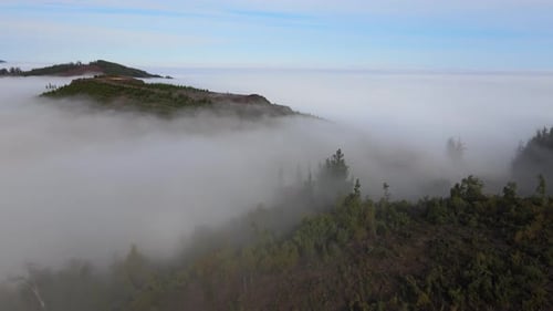 Landschaft in einer wilden Umgebung in Chile, Südamerika