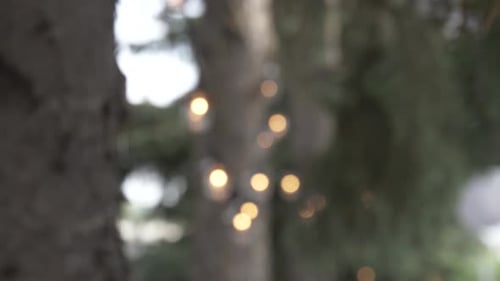 String lanterns swaying gently from trees at a festive backyard party