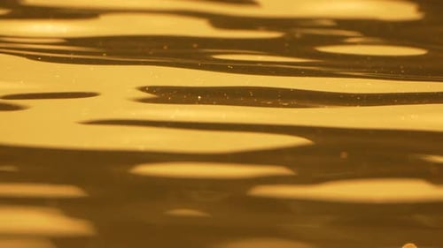Golden Sunset Reflection on the Water's Gentle Ripples