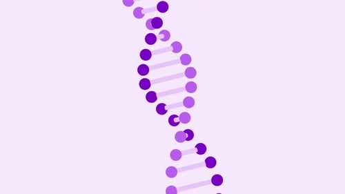 Animated DNA Double Helix in Flat Design Style