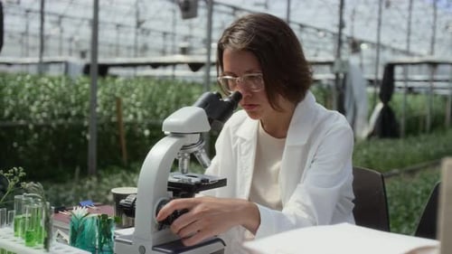 Female Plant Scientist Working with Microscope in Greenhouse