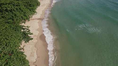 Aerial forward dolly shot of pristine beach and jungle with small clear waves crashing on the sand