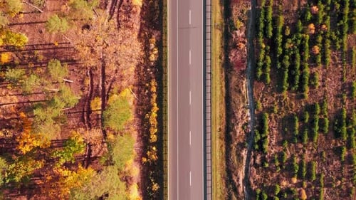 Straight speed highway with moving cars and vehicles through forest landscape
