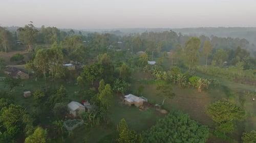 Aerial view of village homes in tranquil forest, Kenya.