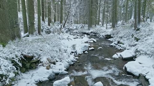Snow River Beautiful Mountains Forest Nature Cold Winter