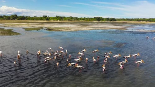 Tropical Landscape with a Lake Sri Lanka