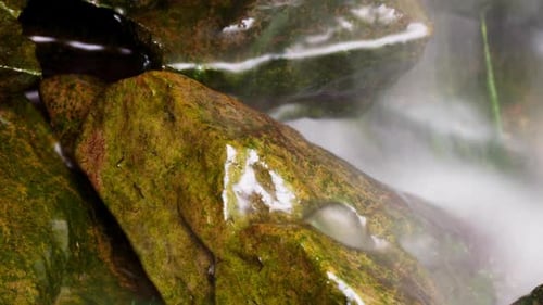 Zeitraffer und Zeitbelichtung an einem kleinen Wasserfall. Algen und Insektenlarven haften an den feuchten Felsen.