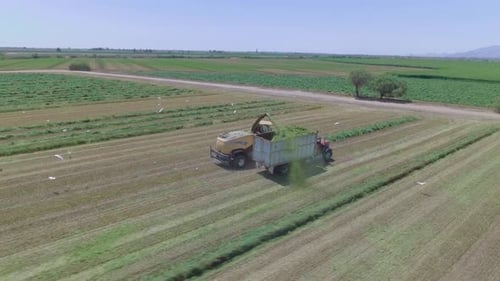 Harvesting Grass in a Rural Landscape