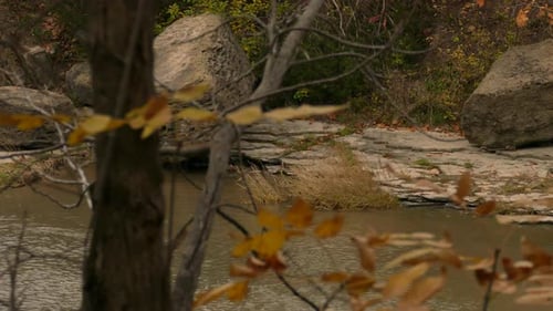 A journey in the enchanted autumnal forest: a torrential water flow runs through the cascades