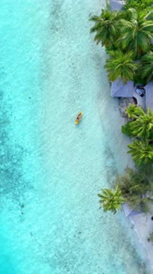 Tropical White Sand Beach with Calm Turquoise Water and Palm Trees Under Blue Sky Serene Atmosphere