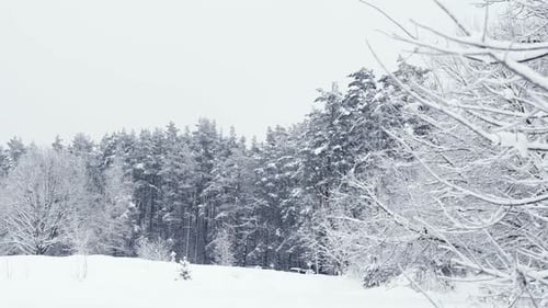 Establisher shot of winter landscape wonderland, field and trees covered in snow