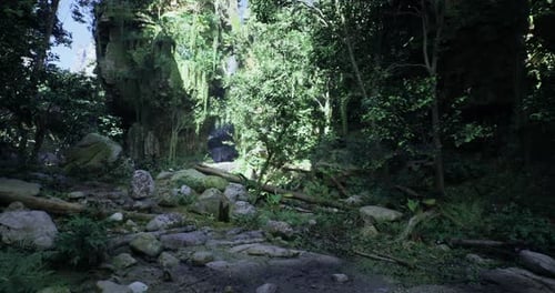 Sunlight Breaks Through Dense Canopy in a Vibrant Tropical Forest