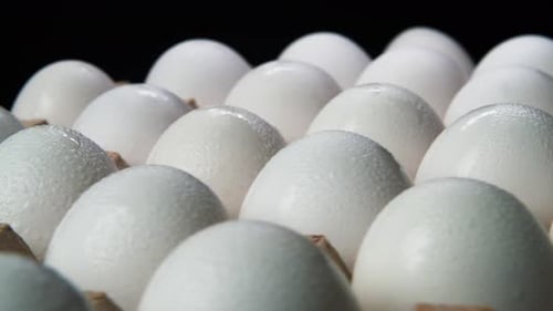 Close Up of White Eggs in a Carton