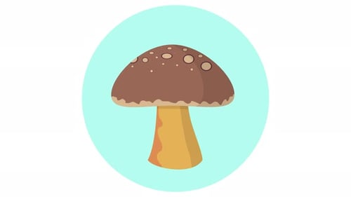 Animated Mushroom Flat Design Icon Loop