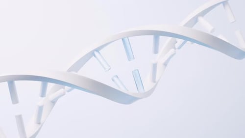 Loop rotation of DNA with biological concept