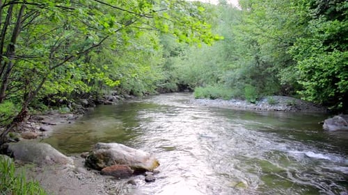 Wilder Fluss im Wald. Schön aussehender Wasserbach in der Wildnis, mit Felsen und Steinen.
Klein