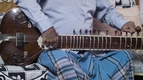 Adult Plays Sitar at Home