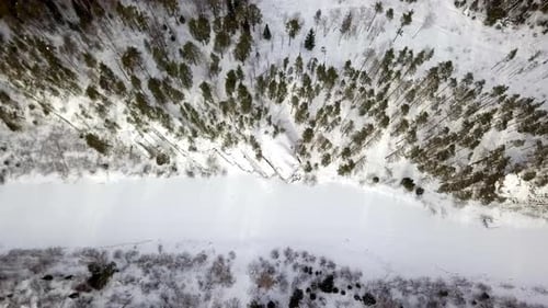 A Stunning Aerial View Capturing a Snow Covered Landscape Featuring a River and Pine Trees Stock