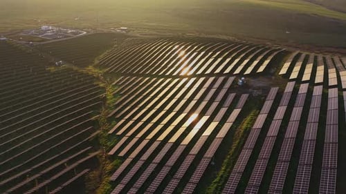 Solar panels collect sunlight in large fields during afternoon hours