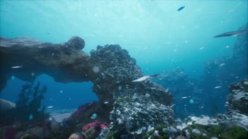 Underwater Scene of Tropical Seabed With Reef And Sunshine