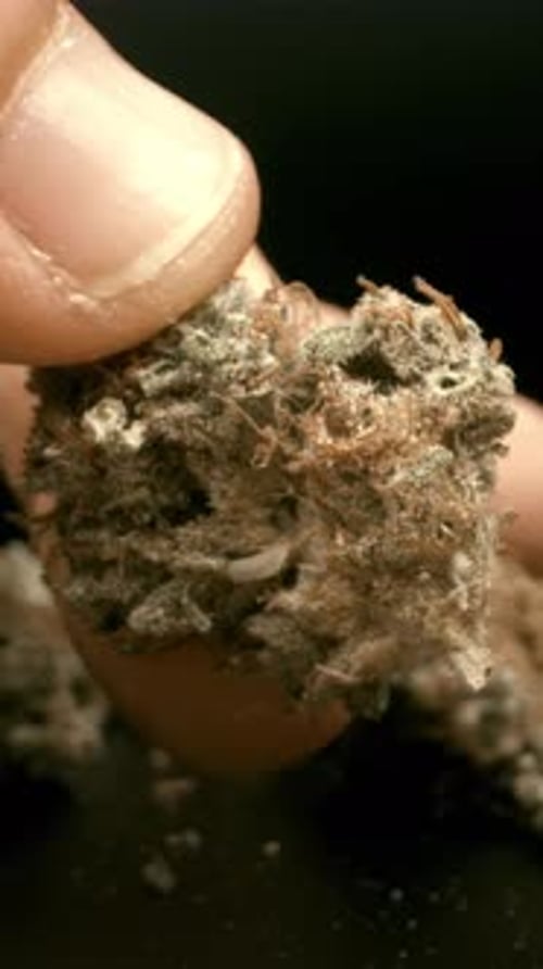 Close Up of Finger Holding Textured Object