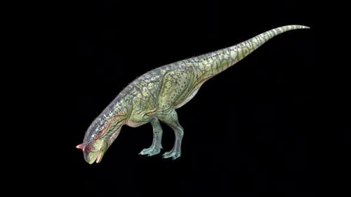 Boisson Carnotaurus Dinosaur 2