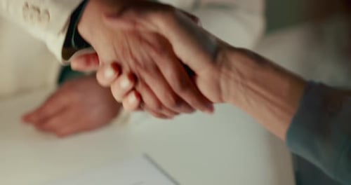 Two Adults Shake Hands After Business Agreement