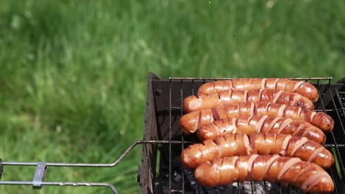 Sausages grilling on the barbecue. Juicy sausages frying on a fire. Hot delicious meat.
