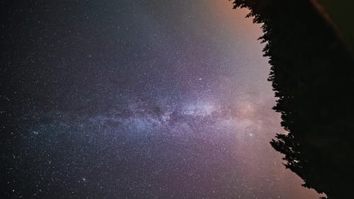 Die Milchstraße leuchtet hell am Nachthimmel, umrahmt von weichen Wolken und silhouettierten Bäumen im Nebel