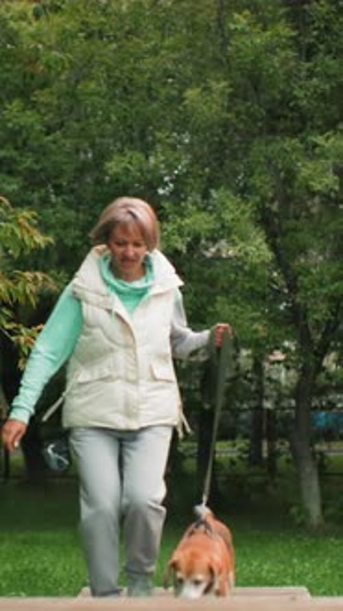 Woman Enjoying Nature with Pet Relaxed Woman on Park Platform with Her Loyal Beagle Companion Woman