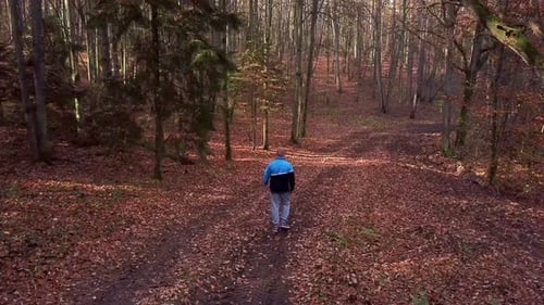 Young Man Walking Through a Forest in Autumn Scenery. Hiking in the Woods. Enjoying a Walk in a Fore