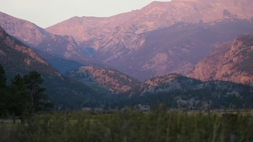 Woman Walks Through Field in the Rocky Mountains
