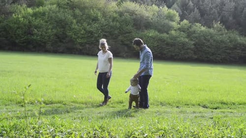 Family walks together in grassy green meadow