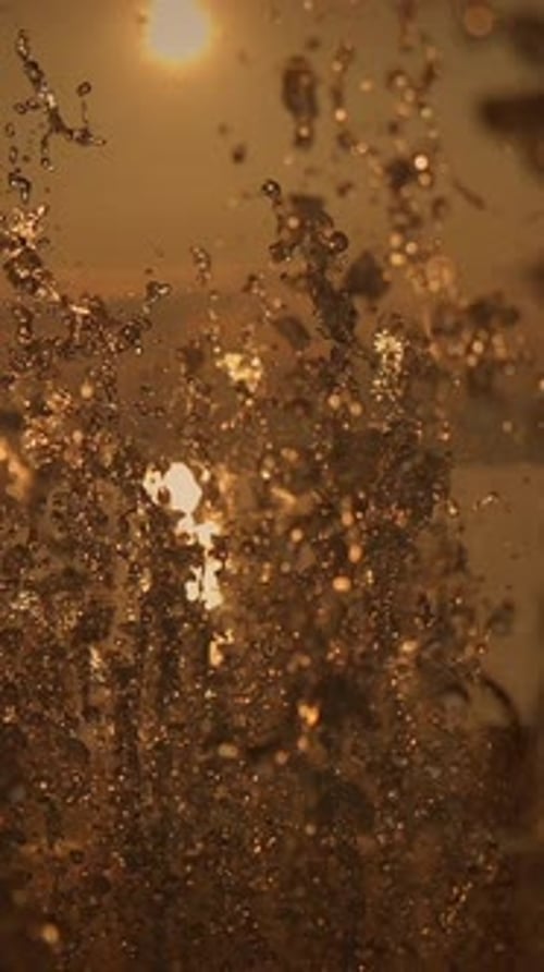Water Spraying in Golden Sunlight