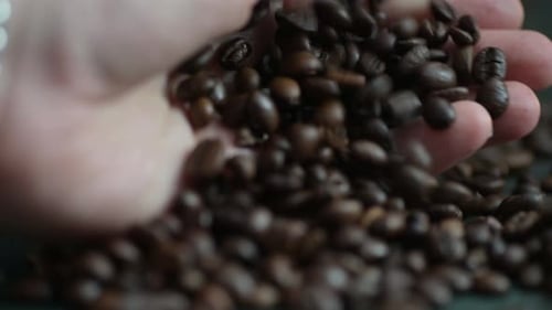 Hand Pours Dark Roasted Coffee Beans, Close Up