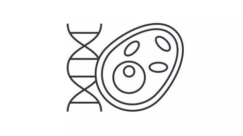 Biology line animation