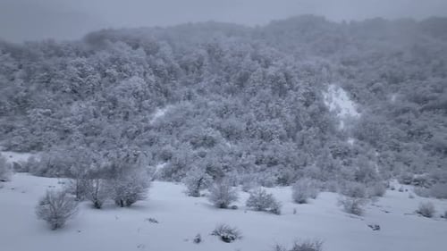 Luftaufnahme eines gefrorenen Waldes mit schneebedeckten Bäumen im Winter. Flug über dem wunderschönen verschneiten Berg