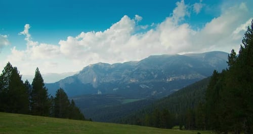 Calm Timelapse Landscape on Mountain Meadow Between Pine Trees Forest at Sunset