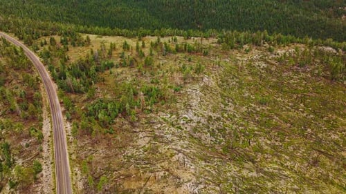 Green pine tree forest covering the rocky landscape. Drone descending over the bare land