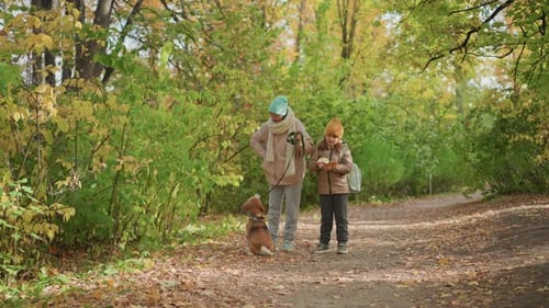 Mother Child Dog Walking Together on Autumn Trail Through Vibrant Forest