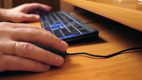 20 cm. Eine Person arbeitet mit Maus und Tastatur an einem Computer. Zeitlupe.