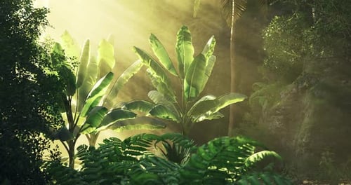 Bright Sunbeams Shine Through Lush Jungle Foliage