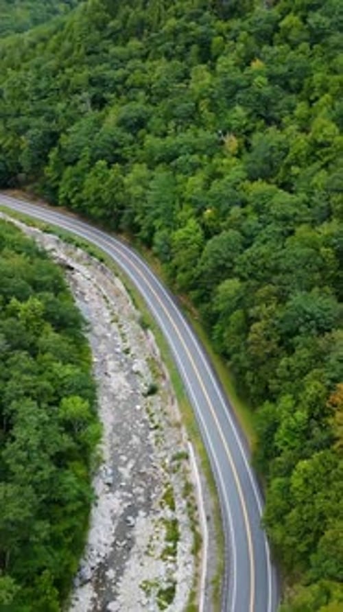 Winding Mohawk Trail Road in Berkshires, Massachusetts - Vertical Scenic View