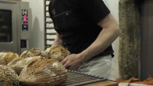 Male baker arranging bread for sale in shop