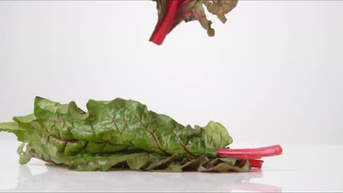 Feuilles de bette à carde rebondissant au ralenti, table blanche, plan rapproché, Food Studio