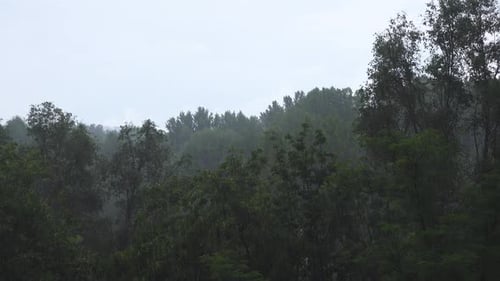 Heavy Rain And Strong Wind 29