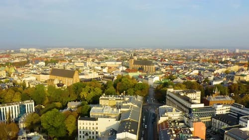 Aerial View of a Sprawling Cityscape